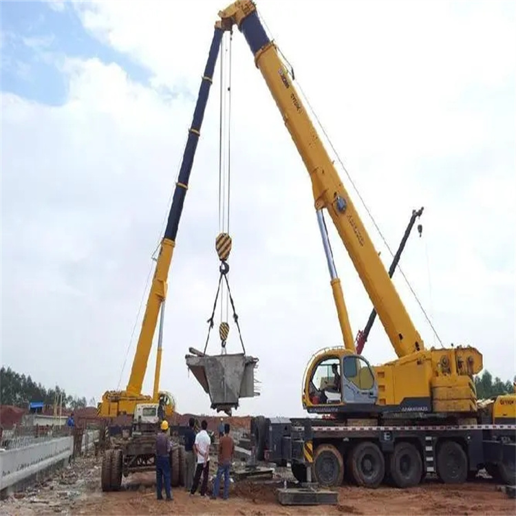 井研小型吊机出租电话|厂房设备吊装方案|24小时服务覆盖